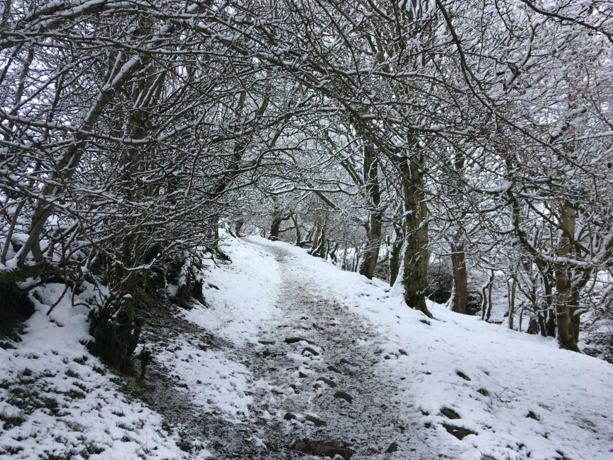 La'Al Yam Villa Sedbergh Exteriör bild